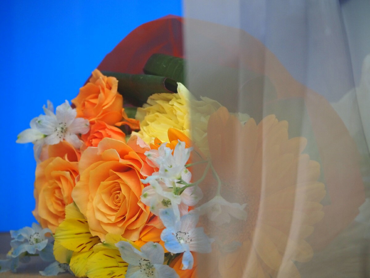 ڥƥå Ĵե С 1015UH210mm297mm2ɻѤΥɡեॷСΥե糰(UV)...