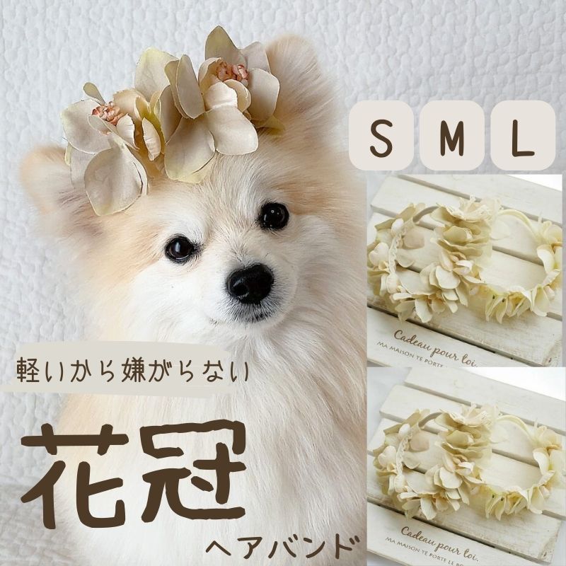 犬 頭 花冠 リボン 中型犬 小型犬 大型犬 ヘアアクセ ドレス 帽子 パピヨン ミニチュアダックスフンド ペット用 ナチュラル 犬グッズ ドッグアクセサリー ぱっちん 誕生日 撮影会 【3サイズ エクリュアナベルクラウン花冠ヘアバンド】 4タイプになりました！小型中型大型犬の花かんむり。エクリュアナベルのお花で作ったわんちゃん用花冠ヘアバンド。短毛の犬種は首飾りにも。ウィッグピンもお付け出来ます。 アーティフィシャルフラワー（高級造花）でお作りした花冠ヘアバンド。長く綺麗なお色を楽しめます。水溶性の接着剤は使用していませんので、少しの水濡れなら大丈夫。（洗ってしまうとお花の染料が落ちる事があります。）※着用画像のポメラニアンはMサイズ着用ドライフラワー風のアーティフィシャルフラワーで、モカベースとミルクベースの花冠ヘアバンドをお作りしました。アーティフィシャルフラワー（高級造花）でお作りした花冠ヘアバンド。長く綺麗なお色を楽しめます。水溶性の接着剤は使用していませんので、少しの水濡れなら大丈夫。（洗ってしまうとお花の染料が落ちる事があります。）ナチュラルなコットンレースをダブルリボンにしたタイプとドライフラワータイプのカスミ草を入れたタイプごご用意しました。とにかく全部エクリュな花かんむりが欲しい。とリクエスト頂いてお作りしました。良く伸びるヘアバンドで、しっかりフィットします。お顔に毛があるわんちゃんは、コームピンをお付けしますので更に外れにくくなります。コームピン付きをお選び下さい。ウィッグ用のコームピンは、人間用はコームの歯が下から上を向くように使用しますがわんこの毛はウエーブが多いので、コームの歯が上から下を向くようにお付けしています。人間用と同じつけ方をご希望の場合は、備考欄やメールにてお知らせ下さい。Sサイズ：花部分全長：15cmバンド長さ：3cm対象頭囲：19cm～27cmMサイズ：花部分全長：20cmバンド長さ：5cm対象頭囲：26cm～36cm※着用画像のわんこは、Mサイズを使用しています。Lサイズ：花部分全長：25cmバンド長さ：8cm対象頭囲：35cm～50cmウィッグピンを留める際は、わんちゃんの頭に押し付けず毛を挟み手の中でぱっちんしてご使用下さい。取れにくく実用的ですので、撮影用としてだけではなく、記念日やお出かけなどにもお使い頂けます。当店では、ベビー用ヘアアクセサリーが壊れた際は修理を承っておりますが、犬用ヘアアクセサリーに関しては衛生上お受け出来ません。大変申し訳ございませんが、ベビー用品もお取り扱いしておりますのでご了承下さい。ご相談頂ければ、修理方法をお伝えしたり、破損材料の小分け販売も行いますのでご相談下さいませ。【関連カテゴリー】ペットアクセサリー ドッグアクセサリー ドッグチョーカー わんこ撮影会 猫 ねこ 兎 ウサギ 年賀状 ペットアクセサリー ペット花冠 ペット用はなかんむり おうちフォト ペットフォト フォトスタジオ フォトグラファー 犬和風 犬着物 ドッグフォト キャットフォト 日本 猫着物 ねこちゃん フラワーアクセサリー 2