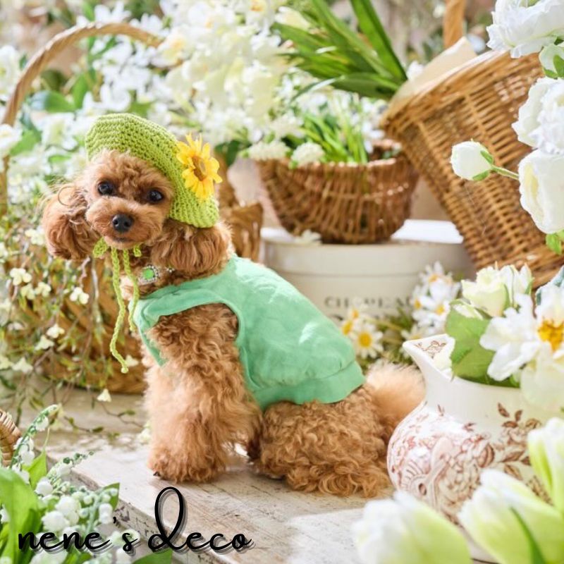 犬 花 リボン 夏 飾り アクセ 落ちない 簡...の紹介画像2