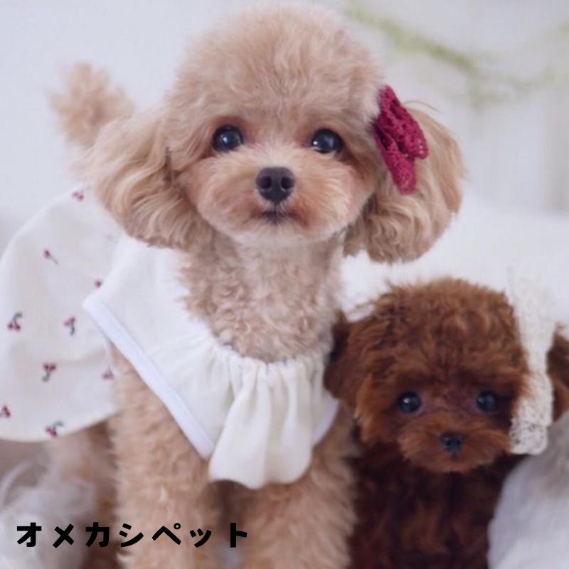 犬 リボン 飾り ヘアアクセサリー ぱっちん 小型犬 子犬 チワワ 耳飾り 犬服 帽子 【大きめ華奢 コットンレースリボン】 トイプードル 中型犬 猫 ペット用 おめかし 犬グッズ ハロウィン クリスマス コームピン ヘアクリップ バレッタ ふわふわバンド ドッグ アクセサリー