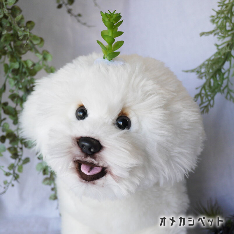 犬 多肉植物 ヘアピン 花 飾り ぱっちん 全犬種 うちの子 可愛い 頭飾り トトロ ピ...