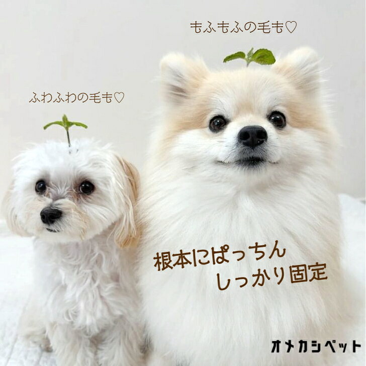 サンプル画像2