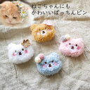 ドッグ ペット アクセサリー【Plushbear ぱっちんピン】犬 ドッグアクセサリー 小型犬 超小型犬 チワワ 耳飾り トイプードル 中型犬 猫 ペット クマさん ぬいぐるみ ふっくら ベアー ブラウンベア わんちゃん ねこちゃん 犬グッズ ハーネス飾り おしゃれ うさぎ ラッピング