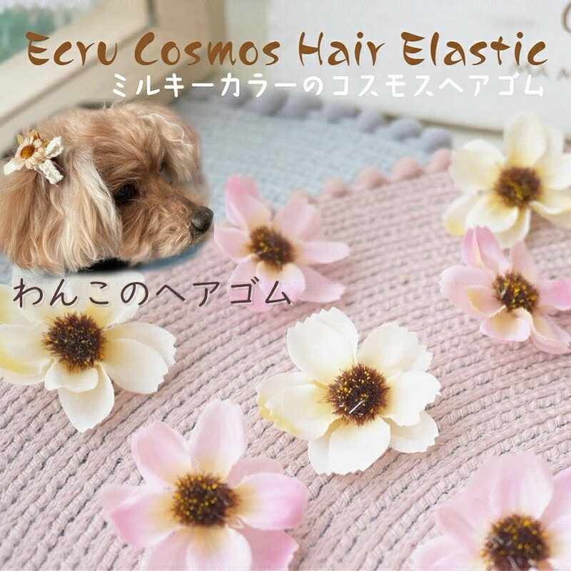 犬 リボン ゴム ヘアアクセサリー【2個セット ミルキーコスモス シリコンドッグヘアゴム】小型犬 超小型犬 チワワ ヨークシャーテリア 耳飾り トイプードル 白 ミニチュアダックス 飾り 中型犬…