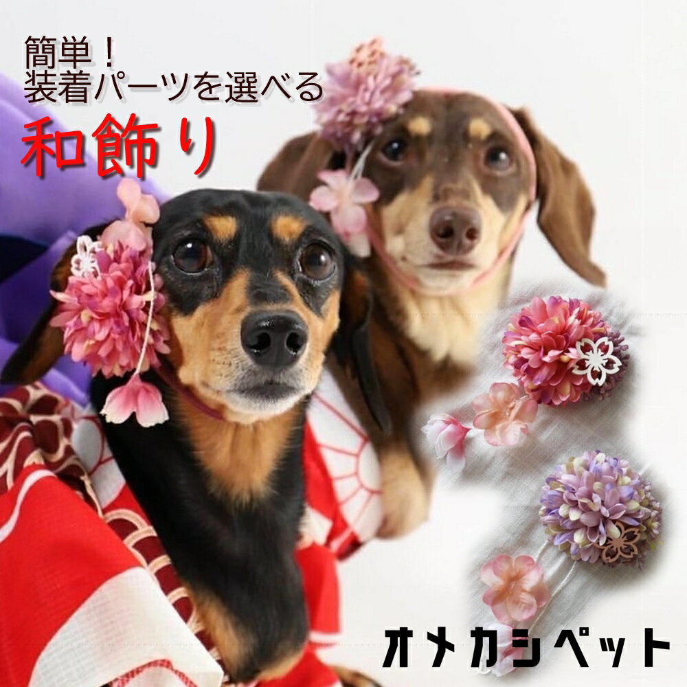 浴衣 犬 花見 耳飾り 和飾り リボン 花 雛祭り ヘアピン 仔犬 ティーカップトイプードル ヘアクリップ 【くすみマムと八重桜和飾り】 犬服 プラスチックバレッタ ドッグアクセサリー 帽子 衣装 和風 着物 ペット 犬グッズ 飾り 猫 大型犬 パピー ひな祭り 桃の花 和りぼん 菊 オメカシペット ゆらゆら花びらが和装に可愛いお花の和飾り。かわいい和わんこ用アクセサリー。短毛の犬種もコードストッパー付きゴム紐で簡単装着。負担が少ない犬和飾りです。 上質なアーティフィシャルフラワーのぽんぽんマムをベースに、八重桜のお花、桜のウッドパーツを合わせました。くすみカラーでキラキラモチーフの無いはんなり和飾りです。お正月やお花見・浴衣など和のイベントにおすすめです。かわいい和風わんこ用アクセサリーです。コームピンの長さ：3cmヘアクリップの長さ：3.5cmバレッタ長さ：5cmプラスチックバレッタ：4.5cmふわふわヘアバンド長さ：20〜50cmコードストッパー付きゴム：40cm〜50cmマム全長：6cm※モデルのわんちゃんはスムースなのでヘアバンドタイプを使用しています。ウィッグ用のコームピン・すべり止め付きヘアクリップ・バレッタからお好きなパーツを選べます。わんちゃんの毛質や長さに合わせてお選び下さい。コードストッパー付きゴム：首にゴムを通して花冠を安定して装着出来ます。ゴムが長い場合はストッパー下の垂れる部分をカットしてご利用下さい。【関連カテゴリー】ペットアクセサリー ドッグアクセサリー ドッグチョーカー わんこ撮影会 猫 ねこ 兎 ウサギ 年賀状 ペットアクセサリー ペット花冠 ペット用はなかんむり おうちフォト ペットフォト フォトスタジオ フォトグラファー 犬和風 犬着物 犬浴衣 ドッグフォト キャットフォト 日本 猫着物 ねこちゃん フラワーアクセサリー 2