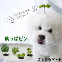 ペット用 ヘアアクセサリー 和風 本格派ちりめんつまみ細工 犬用ヘアピン 2個セット 犬用アクセ 髪飾り