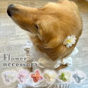 ペット アクセサリー 【ブンブン取れないリラアナベルコームピン】推し色 犬 cat ドッグ アクセ いぬ 誕生日 軽 ヘアアクセ リボン コーム型 パッチン留め...