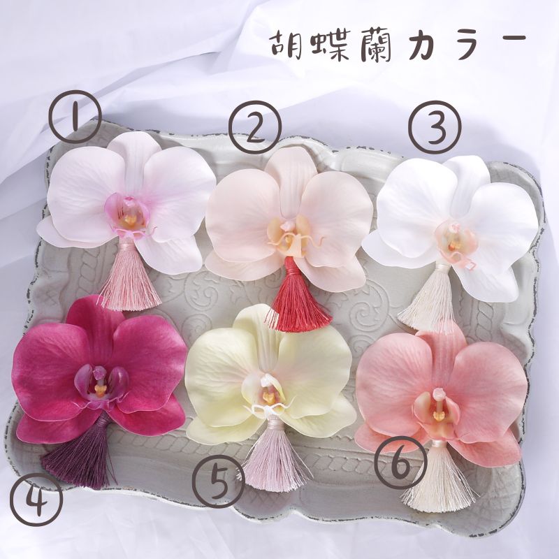 �ҤʤޤĤ� �ӥ���ѡ��� �� �٥ӡ� ���� �� ɴ���� �� �إ����������꡼ ��������� ���ܻ��� ���λ� ȱ����ڥ����ǥ������顼��ĳ�����å���إ��Х�� ��kimono ����ե� ��� ��ʪ �Ҷ� 0�� 1�� 2�� �Ҥʺפ� 753 ���� �Ҥʺפ� �¾���