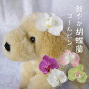 犬 耳飾り 蘭 ぱっちんピン 着物 ドッグ 結婚式 犬服 ウエディング 花嫁 ヘアピン イヌ【ブンブン取れない鮮やか胡蝶蘭コームピン】 インスタ cat アクセサリー リングドッグ イヌ マルチーズ パピー 軽量 トリミング お出かけ トイプー ペット用