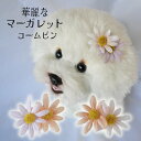 犬 花 飾り 頭 可愛い 落ちない ピン ぱっちん 全犬種 うちの子 可愛い ねこ 頭飾り【ブンブン取れない華麗なマーガレットコームピン】 アクセサリー パッチ...