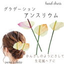 卒業式 髪飾り 結婚式 大人 お呼ばれ かんざし 和装 造花 花 袴 着物 ヘアアクセサリー ナチュラル 振袖【生花風ヘッドドレス (グラデーションアンスリウム) 】ハーフアップ 大学生 七五三 フェイク 日本製 かわいい 衣装 二次会 髪かざり 髪留め おしゃれ 和飾り ドレス