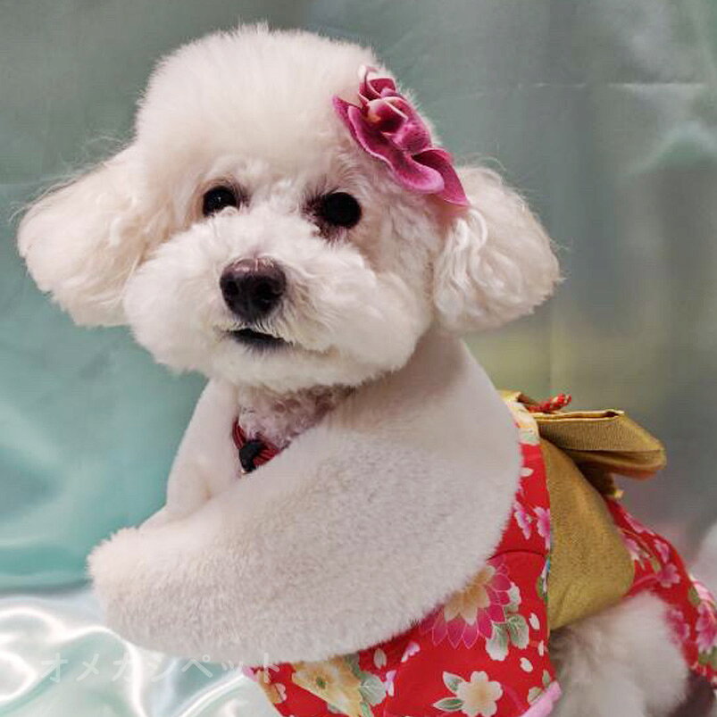 犬 着物 飾り 胡蝶蘭 ぱっちんピン ドッグ 犬服 浴衣 ひなまつり ヘアピン イヌ 【...