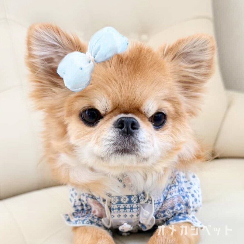 犬 リボン アクセサリー 頭 小型犬 耳飾り 【ブンブン取れない パルフェリュバン ...