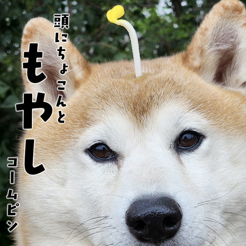 犬 飾り もやし 全犬種 子供 茸 頭 おでかけ アクセサリー 【ブンブン取れない もやしのコームピン】 頭 インスタ cat 映え dog 猫 イヌ もやし うちの子 パッチン留め パピー 軽量 トリミング トイプー 猫 ペット用 わんちゃん お散歩