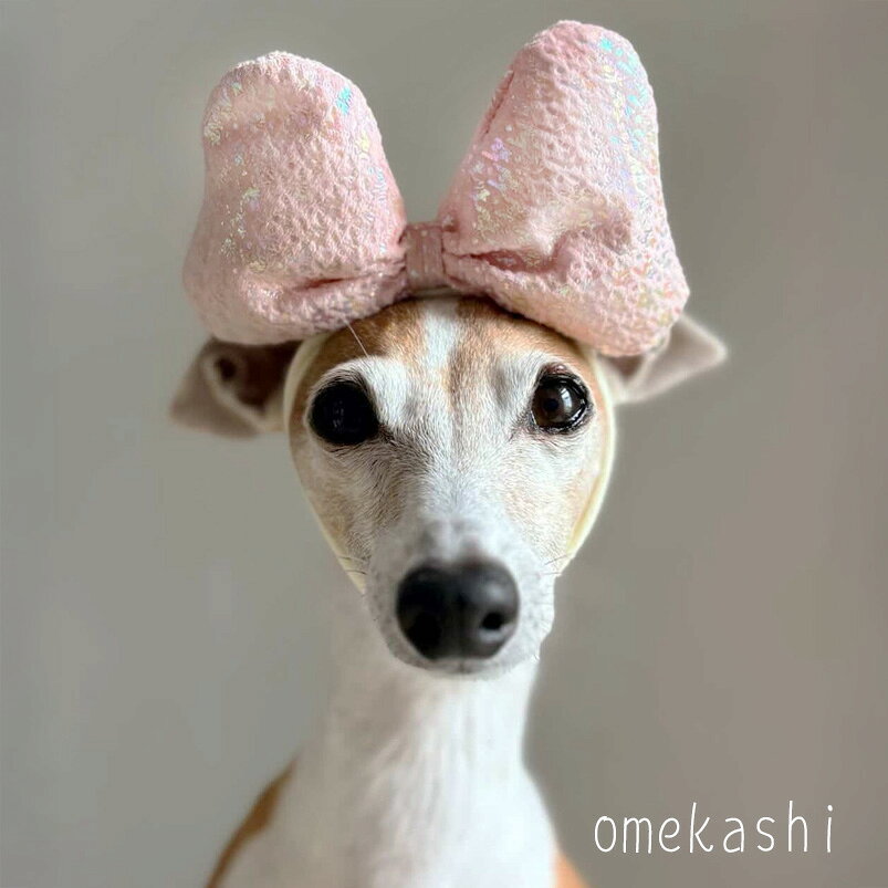 ドッグ りぼん 大きめ 犬 飾り 【オーロラきらふわビッグリボンふわふわバンド】 ...
