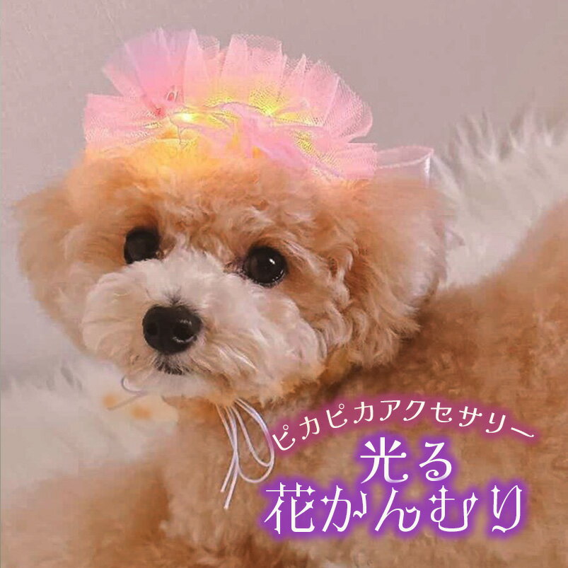 犬 散歩 夜 花飾 夏 祭り ドッグ 衣装 帽子 花冠 全犬...