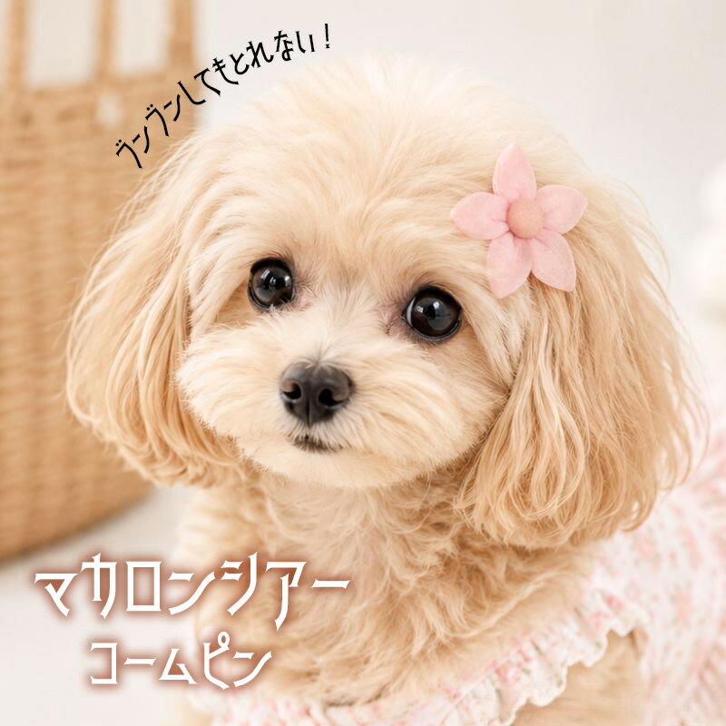 Rakuten - 犬 ヘアピン ぱっちん りぼん 全犬種 可愛い 【ブンブンとれない マカロンシアーフラワーコームピン】 アクセサリー チワワ 刺繍 パッチン留め トリミング 撮影 トイプー ペット用 ギフト わんちゃん お散歩 小型犬 超小型犬 大型犬 犬服 ナチュラル