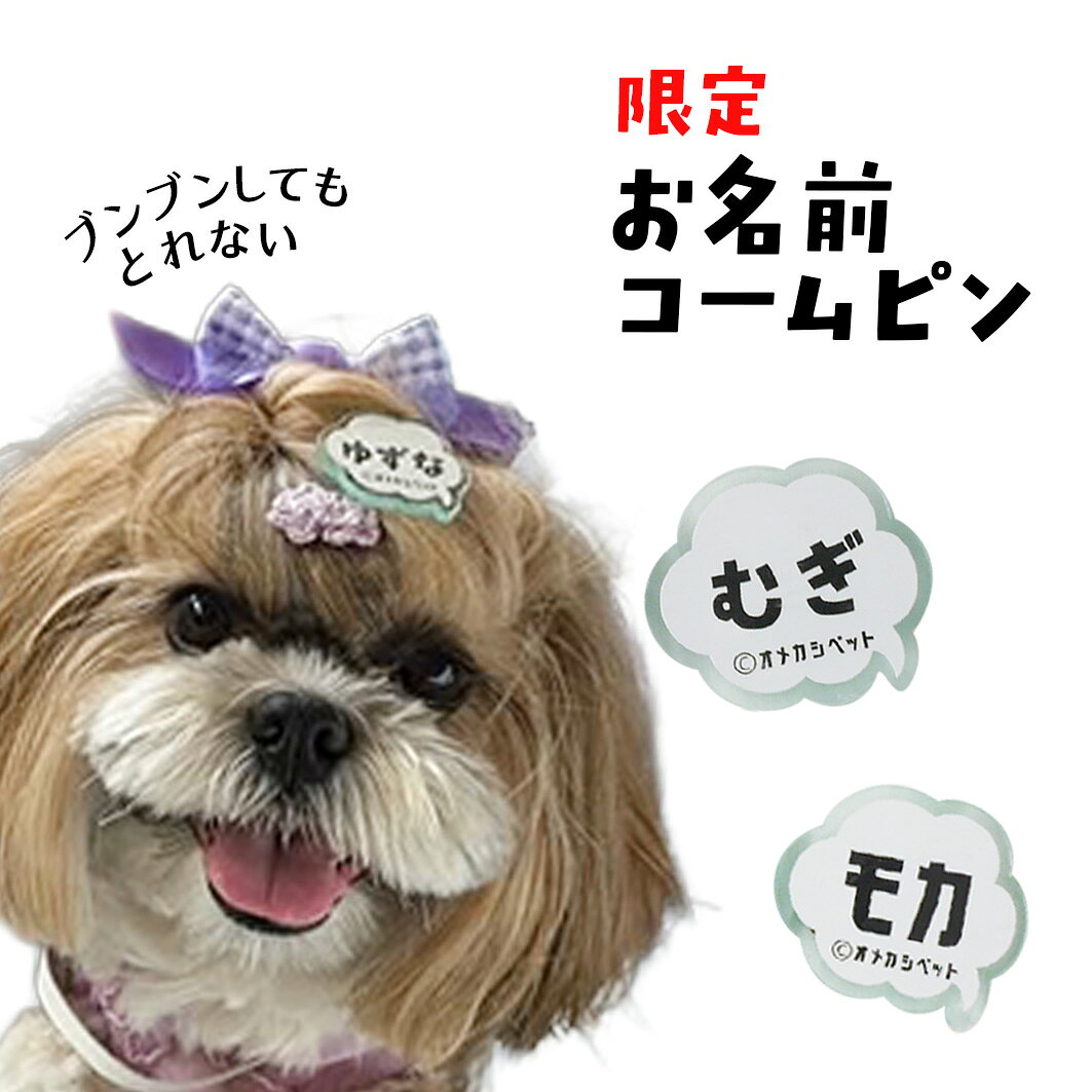 犬 ヘアピン ぱっちん 迷子札 全犬種 お名前 【ブンブンとれない お名前コームピン...
