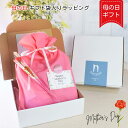 【4日間限定P10倍】 【母の日用特別ギフト】ギフト袋入りラッピング (有料)★ gift / 包装 / ラッピング / ギフト / プレゼント用 / 母の日