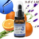 【スポイト付】脳活 ブレンド エッセンシャルオイル( 夜用 )10mL【送料無料】ネンリンラボ天然100%【 精油 オイル アロマオイル セット 】● 夜 / 真正ラベンダー 、オレンジスイート
