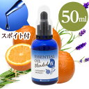 脳活 ブレンド エッセンシャルオイル ( 夜用 )50mL【送料無料】ネンリンラボ天然100%【 精油 オイル アロマオイル 】● 夜 / 真正ラベンダー 、オレンジスイート