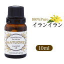 精油 イランイラン10mL  ナチュドール 天然100％ 