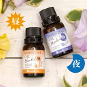\創業SALE全品10%OFFクーポン/脳活 ブレンド エッセンシャルオイル セット 昼用 夜用 ネンリンラボ 天然100% 【 精油 オイル アロマオイル セット 2本組 】● 昼 / ローズマリーカンファー 、 レモン ● 夜 / 真正ラベンダー 、 オレンジスイート