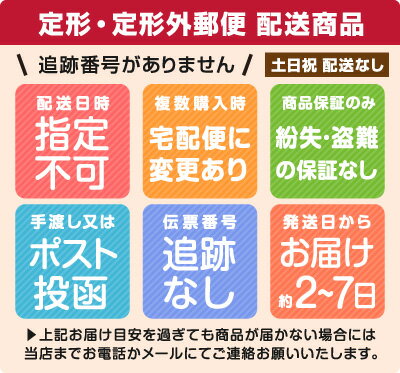 テイジン ガラスダスター Mサイズ 3色より 帝人 メール便 送料無料 3