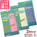 テイジン ガラスダスター 2枚セット Lサイズ 3色より 帝人 メール便 送料無料 yp2