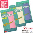 テイジン ガラスダスター 2枚セット Lサイズ 3色より 帝人 メール便 送料無料