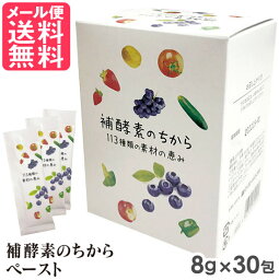 補酵素のちから ペースト 8g×30包入り フジスコ 野草原酵素 エキス サプリメント 乳酸菌生産物質 yp2