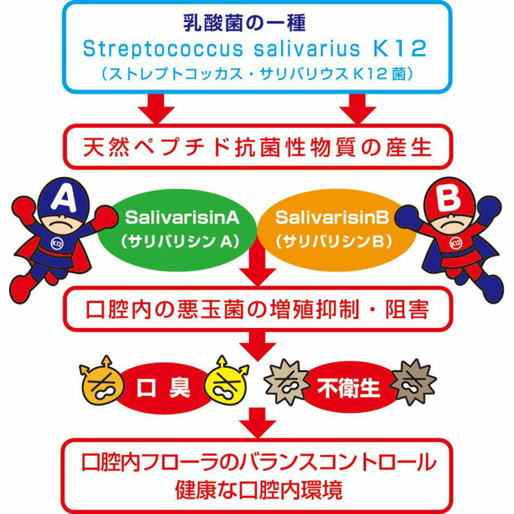2個セット フェアユング プロバイオティクスK12 (30粒) 乳酸菌 口腔ケア K12 VERJUNG