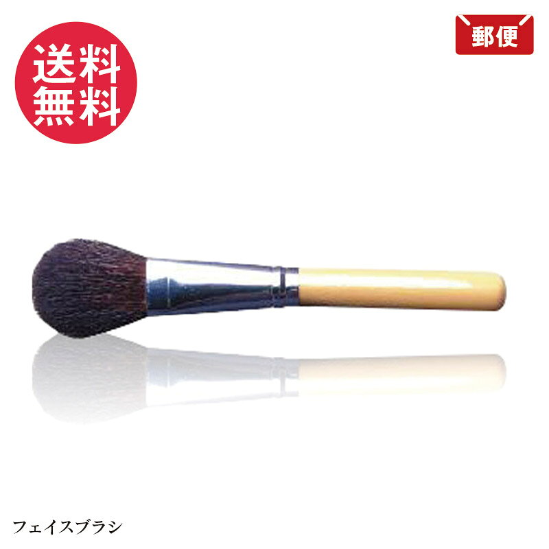 樂天商城 - レクティ フェイスブラシ