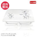 レクティ化粧品 パウダリーファンデーション パウダーパクトケース yp1