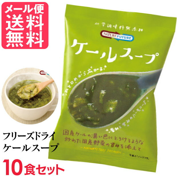 フリーズドライ ケールスープ(10食入り) 高級 厳選 ケール キャベツ 野菜 スープ コスモス食品 インスタント