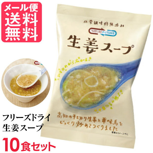フリーズドライ 生姜スープ(10食入
