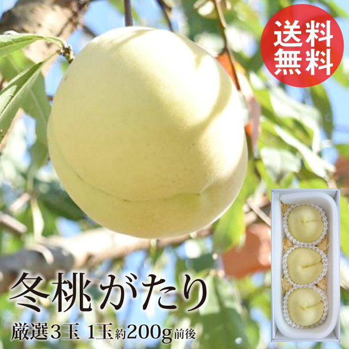 今井農園『冬桃がたり』