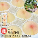 河本農園 岡山白桃 白鳳 大玉3玉 1玉約300g 少し 訳あり 水蜜桃 白桃 岡山 産地直送