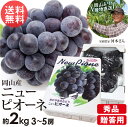 岡山 ニューピオーネ 3~5房 約 2kg 秀品 贈答用 ぶどう 種なし 葡萄 巨峰 岡山県産 ギフト 残暑見舞い