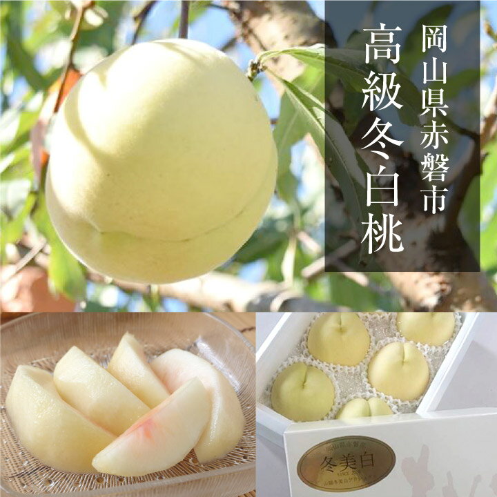 今井農園『冬桃がたり』