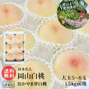 河本農園 岡山白桃 おかやま夢白桃 5〜6玉 1.5kg前後 少し 訳あり 白桃 岡山 産地直送(4)