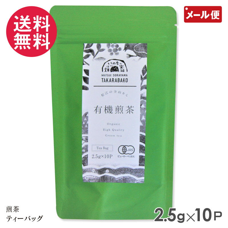 有機煎茶ティーバッグ テトラ型 2.5g×10P 宝箱の有機茶 島根県松江市 大庭空山 有機JAS認証 緑茶 日本茶