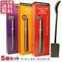 5個セット ラッチェ カラーオンリタッチ 15ml マスカラ式白髪染め 白髪隠し マスカラ ファンデーション カバー luche