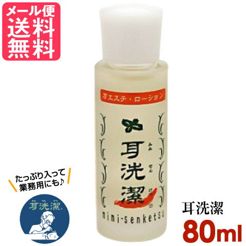 耳せんけつ 耳洗潔 80ml 耳洗浄 約200回分 耳洗い 業務用