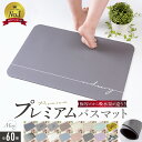 吸水2.5倍 プレミアム バスマット 即納 Mirx 珪藻土バスマット 珪藻土マット ソフト 速乾 冷たくない 割れない ノンアスベスト ソフトタイプ 大判 バ...