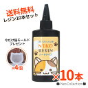 【送料無料！10本セット】おまけ付き！ネコレジン65g ハードタイプ 10本セット レジン液 UVレジン液 LEDレジン液 ネコ 猫 ハードレジン レジンクラフト UV対応 LED対応 ハンドメイド 高品質 おすすめ まとめ買い