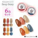 【カラーセット】ネコジェル ディープダスティカラー6色セット 内容量3g ダスティカラー カラージェルセット
