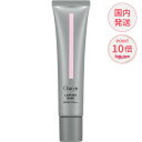 【ポイント10倍】【国内正規品】Chacott チャコット ラスティングベース 化粧下地 SPF50+ PA+++(ノンケミカル処方)550ナチュラル 42g