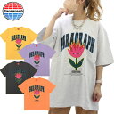 パラグラフ paragraph TULIP T-SHIRT NO.033 NO.33 カレッジロゴ フラワー Tシャツ 半袖 メンズ レディース カットソー 