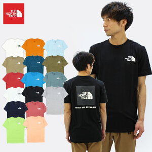 ザ・ノースフェイス(THE NORTH FACE) Mens S/S Box NSE Tee メンズ 半袖 Tシャツ ゆうパケット送料無料[AA-2]